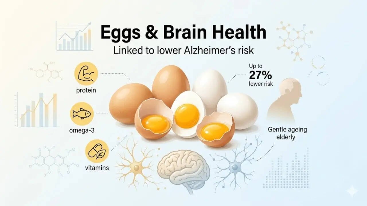 Daily Egg Consumption Linked to Lower Alzheimer’s Risk, Study Finds