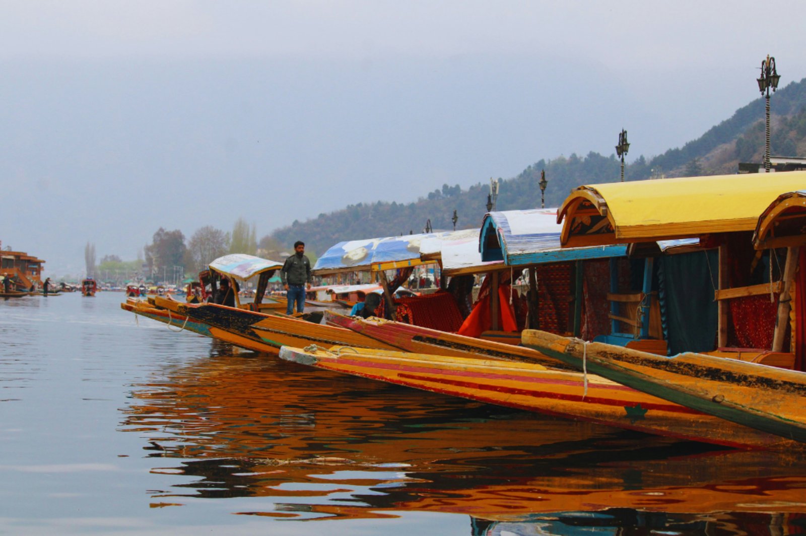 Seven Years After Article 370 Abrogation, J&K’s Development Story Shifts Towards Connectivity, Tourism and Investment