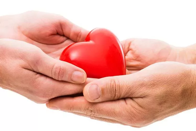 How Are Donated Organs Allocated in India? Understanding the Rules Behind Life-Saving Transplants