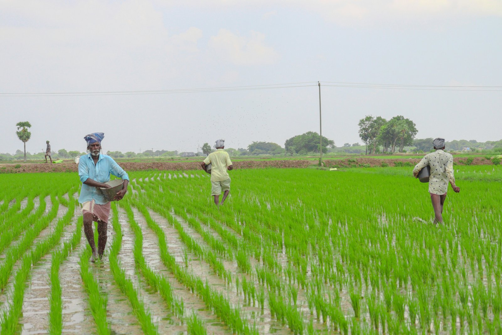 Yogi Government focuses on ensuring adequate fertiliser availability during Kharif season