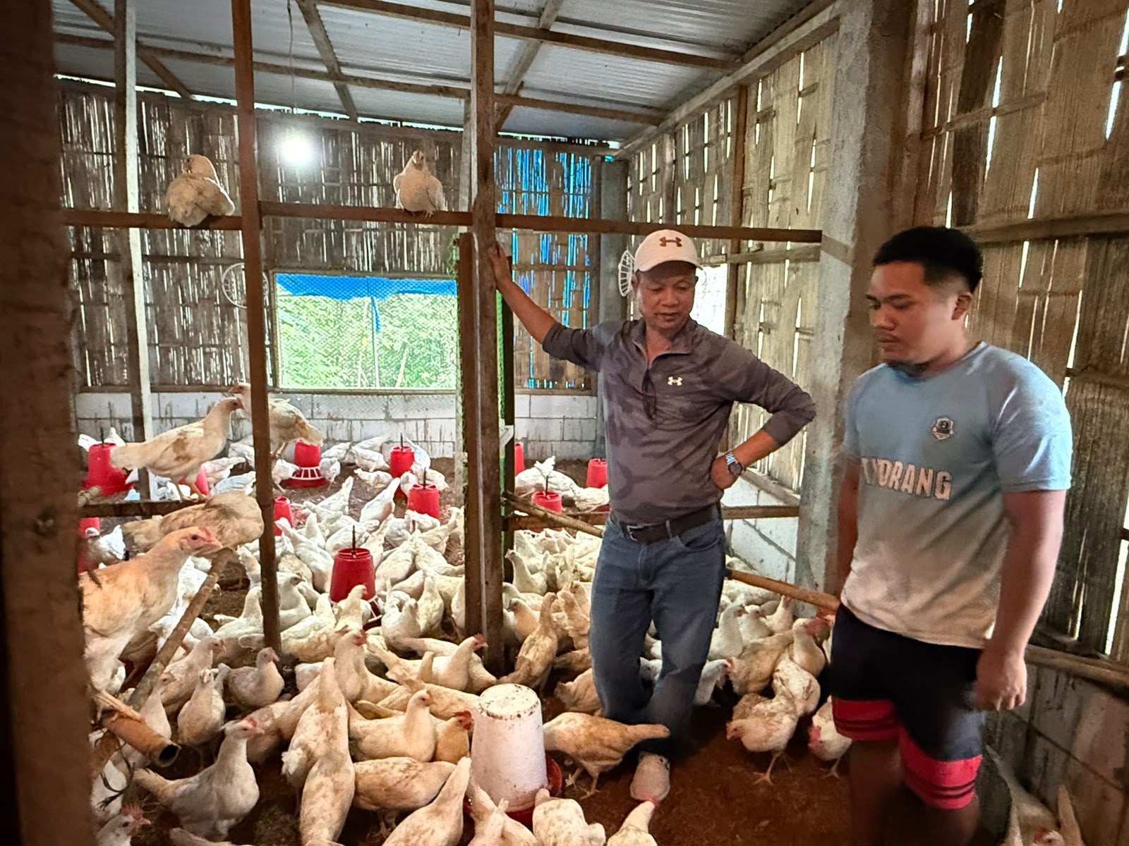 Lalnilawma Reviews Egg Production Project in Tawi