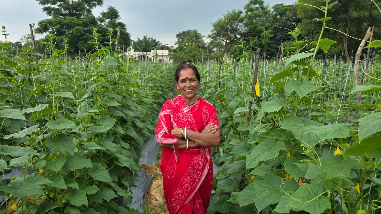Bihan Provides Financial Support to Rural Women, Subhadra Mandal Builds a New Story of Self-Reliance Through Cucumber Farming