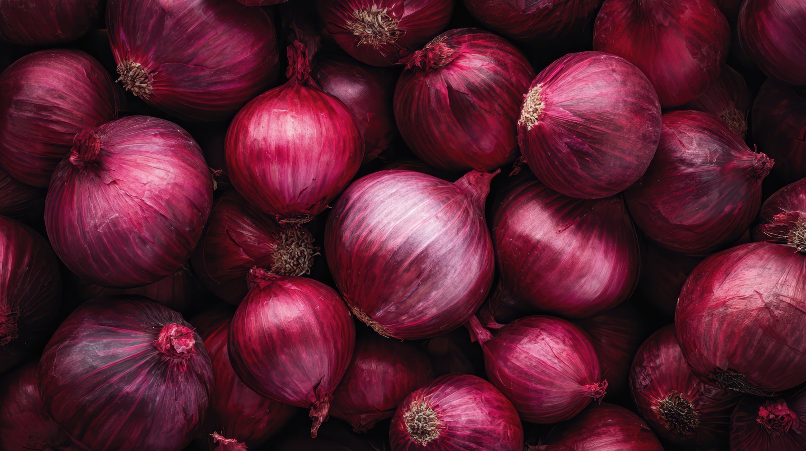 Tamil Nadu Govt Plans Subsidised Onion Sales Through Ration Shops as Prices Surge