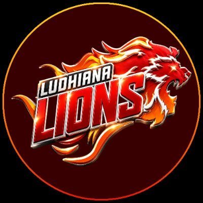 Ludhiana Lions Storm into Sher-E-Punjab T20 League Semifinals with Five-Wicket Win