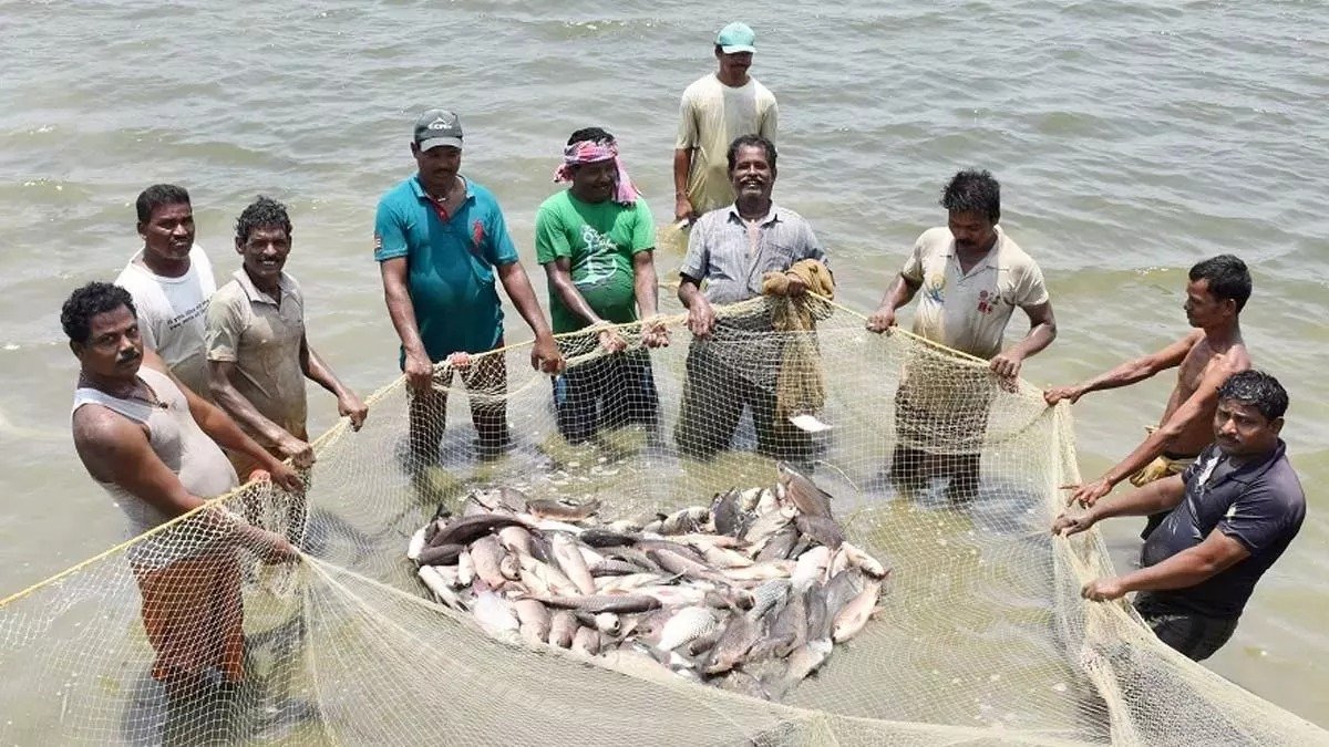 An Example of Change: PM Matsya Sampada Yojana Transforms Farmers’ Lives