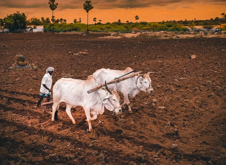 Farmers to get loans of up to Rs 6 lakh for a long term at six percent interest