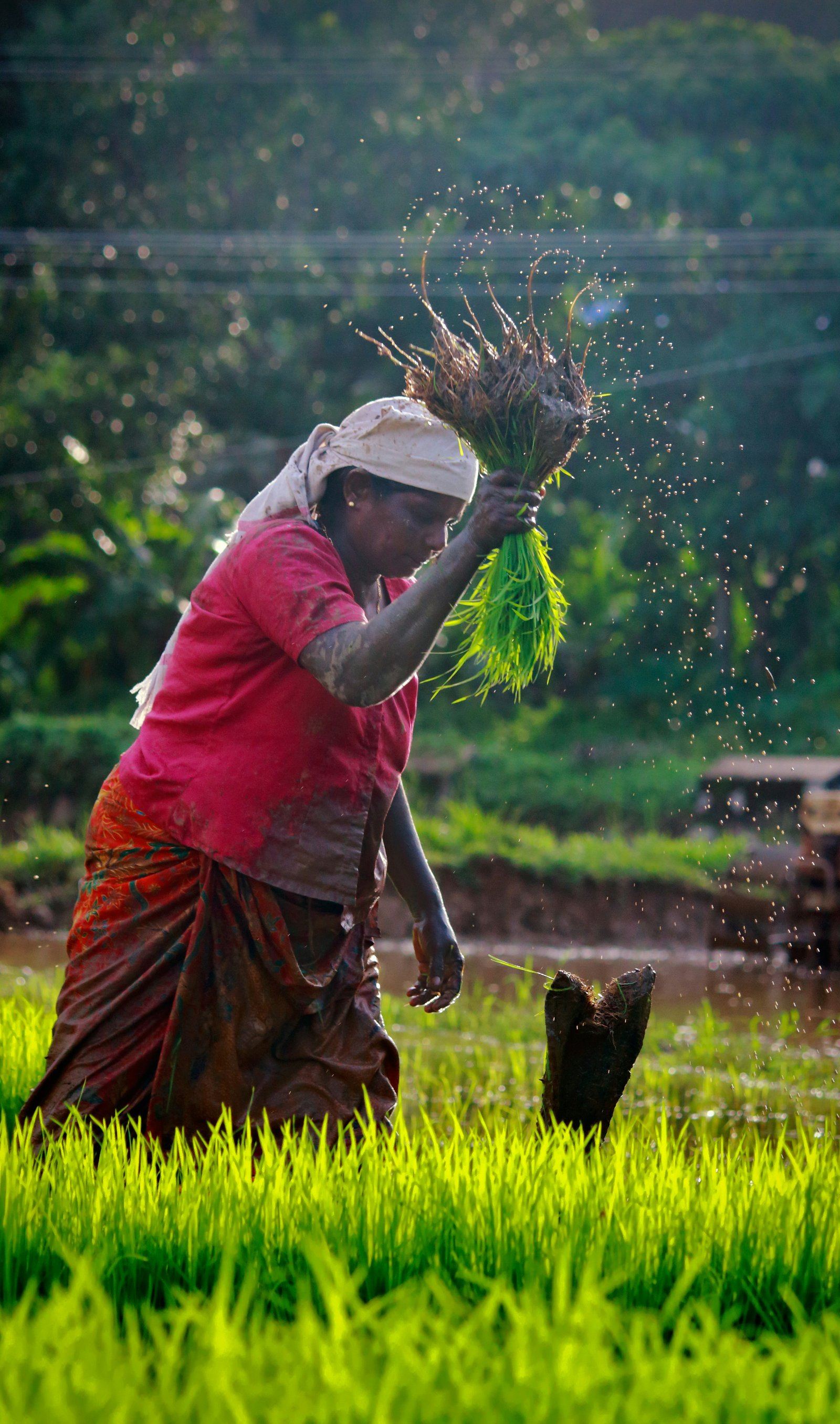 Maharashtra Launches Dedicated Portal to Give Women Farmers Separate Identity