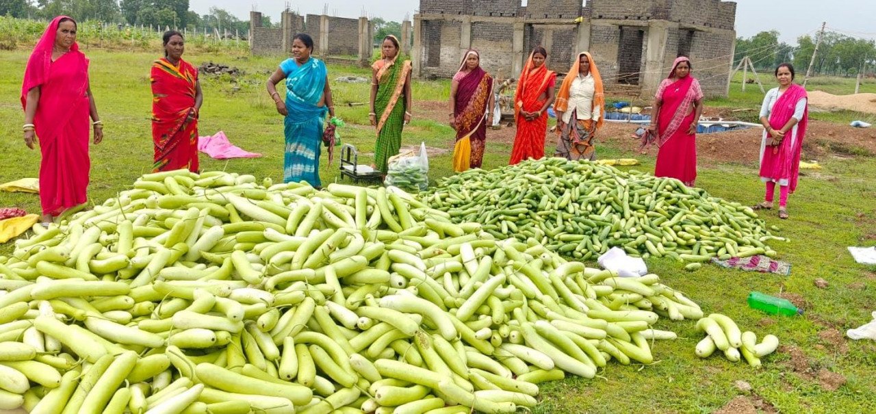 Prosperity Takes Root on 25 Acres of Encroachment-Free Barren Land