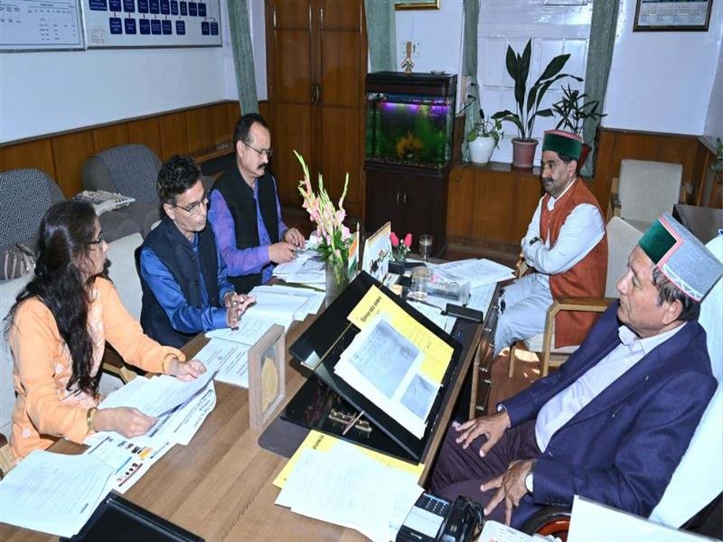 Beekeepers affected by beetle infestation to receive 30 percent relief