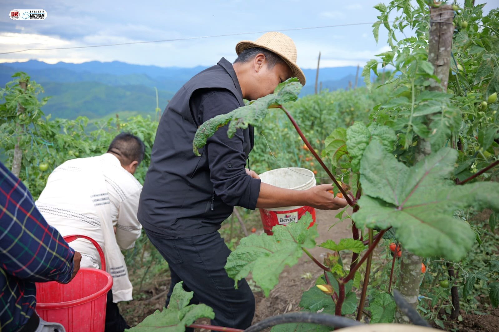 Tourism Minister inaugurates First-Ever Pluck and Pay Festival in Mizoram