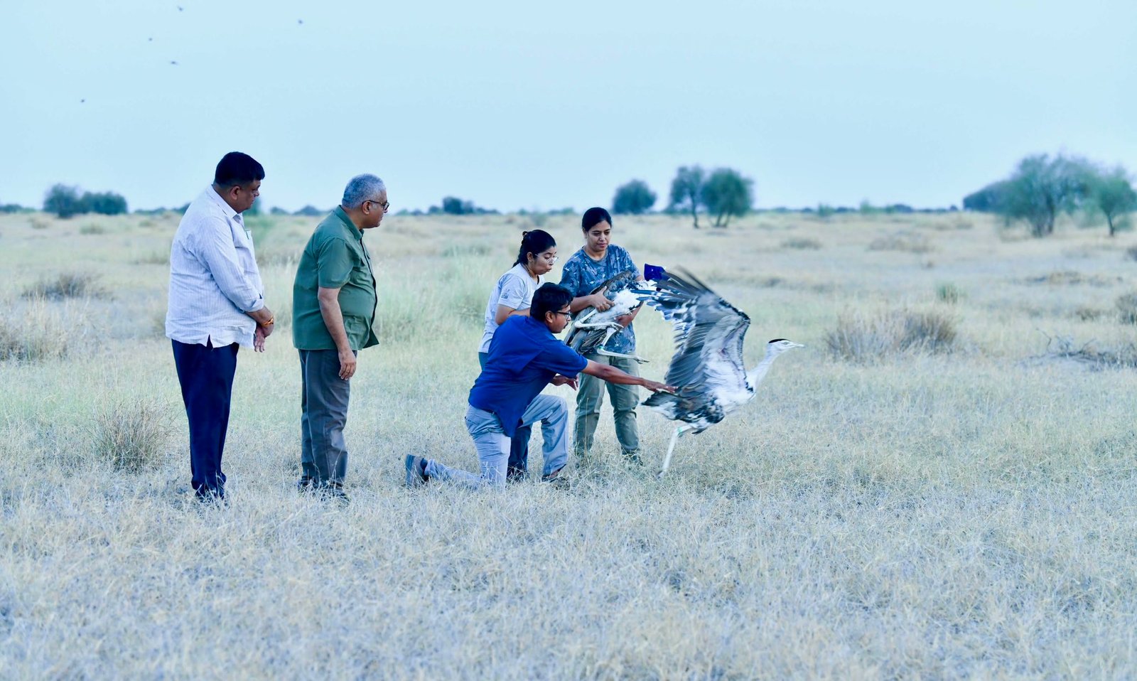 Union Environment Minister releases two male Great Indian Bustards into the wild at Desert National Park, Jaisalmer