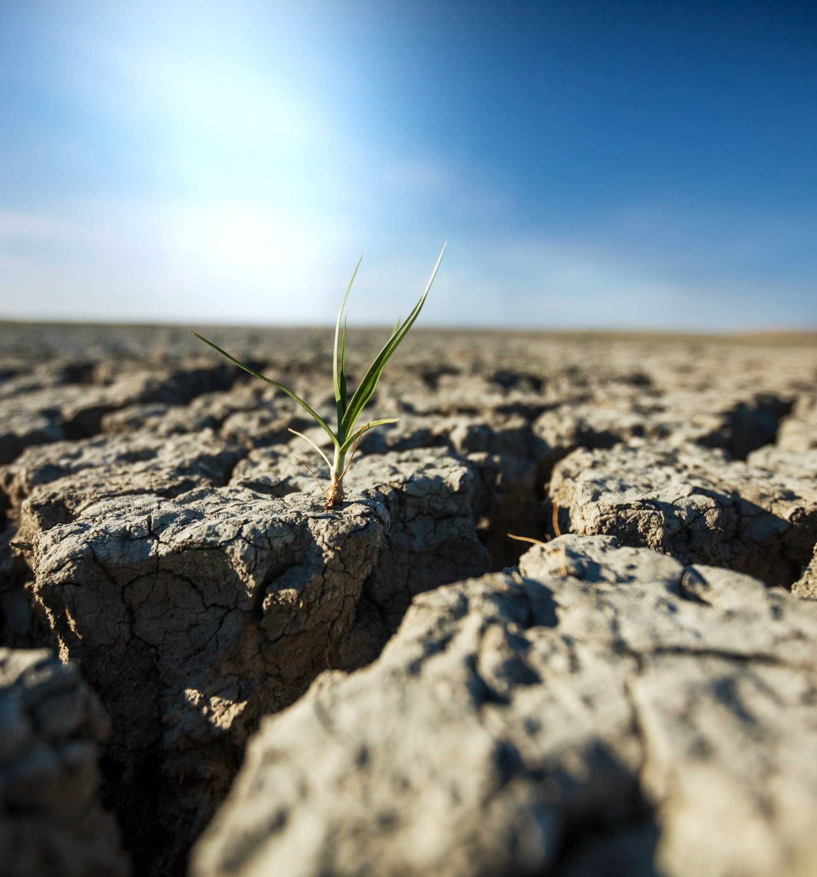 Revanth Reddy to Hold Special Meeting on El Niño, Drought Conditions in Telangana
