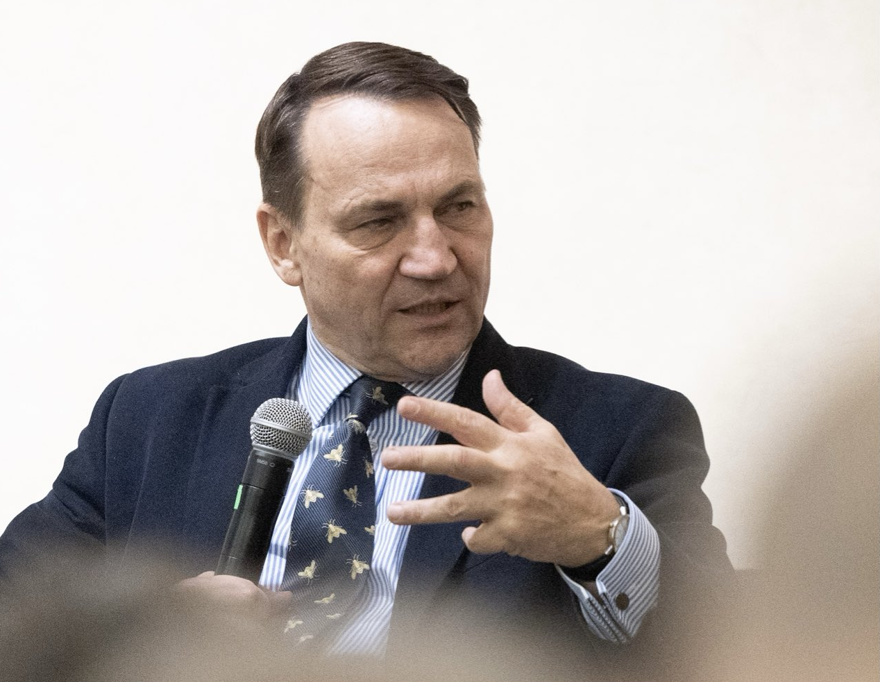 Russia-Ukraine War Cannot End Without Kyiv’s Participation, Poland’s Sikorski Says